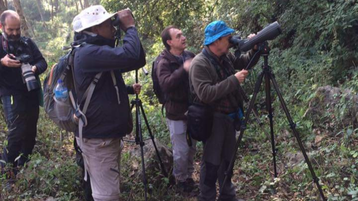 Birdwatch In Sauraha